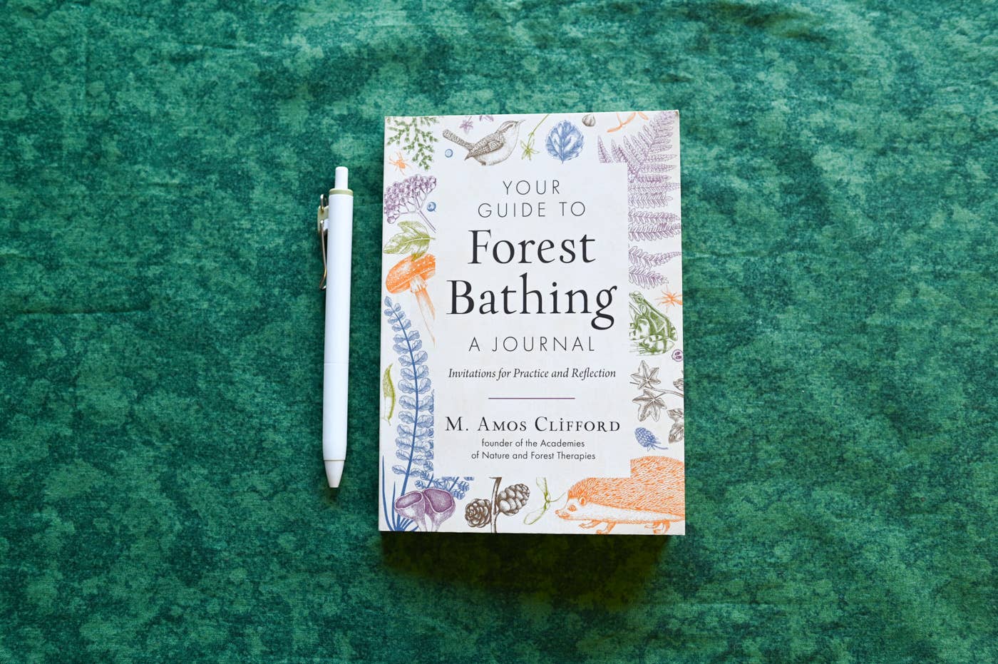 Your Guide to Forest Bathing—A Journal