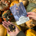 Headless Horseman (Rich Pumpkin Spice Black Tea) 2oz