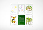 An Invitation to Forest Bathing: 52 Activity Cards