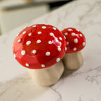 Toadstool Mushroom Salt and Pepper Shaker Set