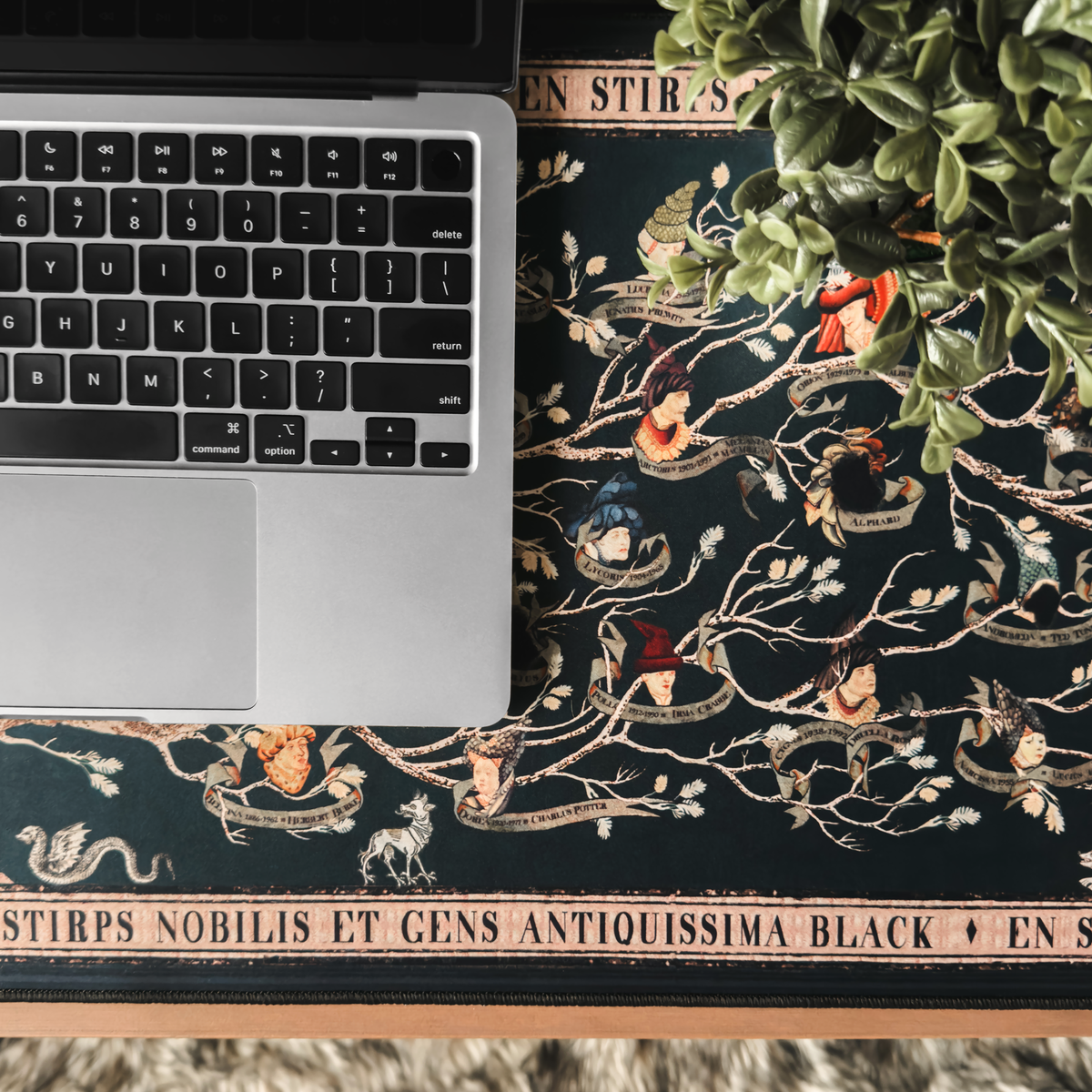 Harry Potter House of Black Desk Mat (13.7'' x 31.5'')