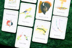 An Invitation to Forest Bathing: 52 Activity Cards