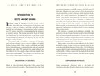 Celtic Ancient Origins (Collector's Edition)