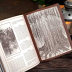 Dictionary of Tolkien Deluxe Edition by David Day