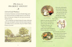 Visit to Brambly Hedge, A : Jill Barklem