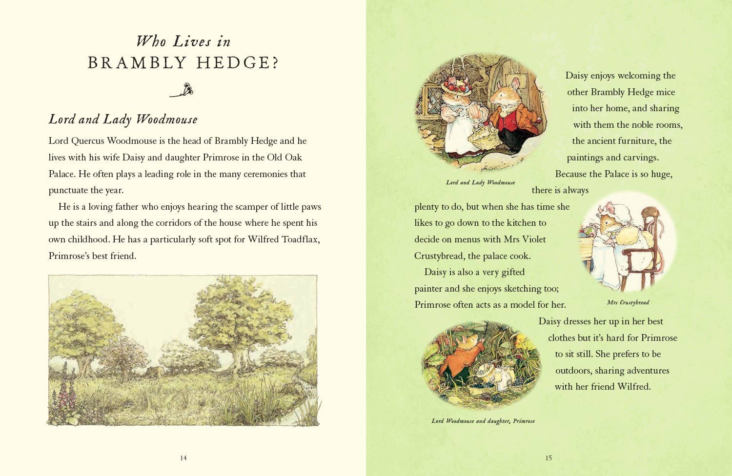 Visit to Brambly Hedge, A : Jill Barklem