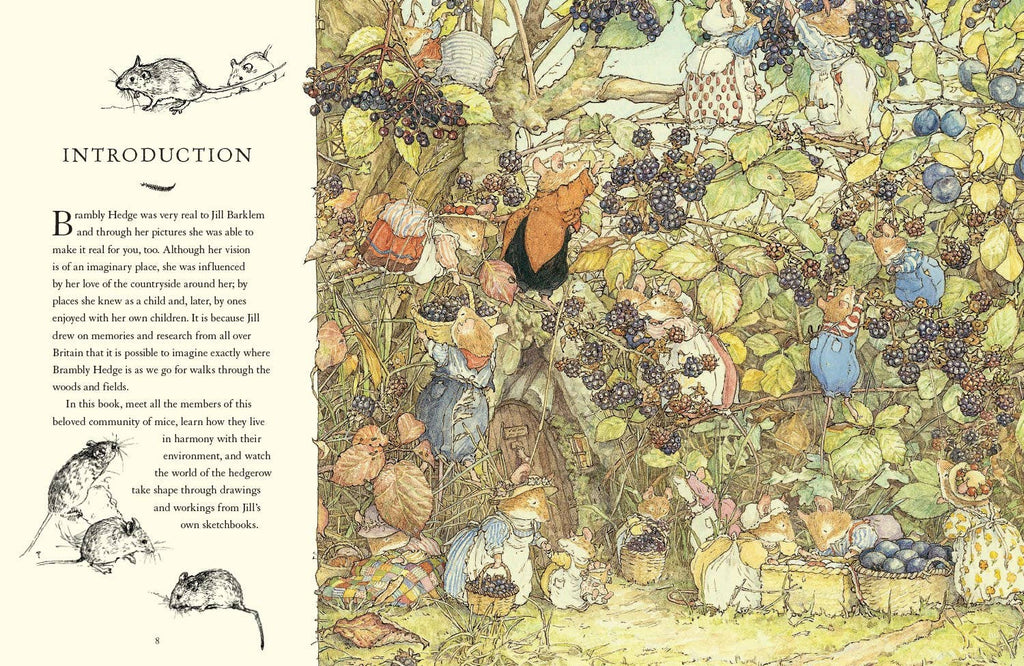 Visit to Brambly Hedge, A : Jill Barklem
