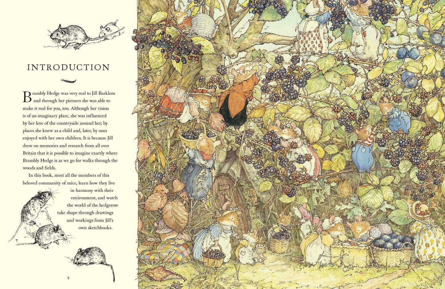 Visit to Brambly Hedge, A : Jill Barklem
