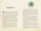 The Kitchen Witch Handbook: Recipes And Potions For Everyday