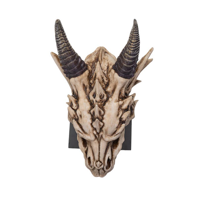 Dragon Skull