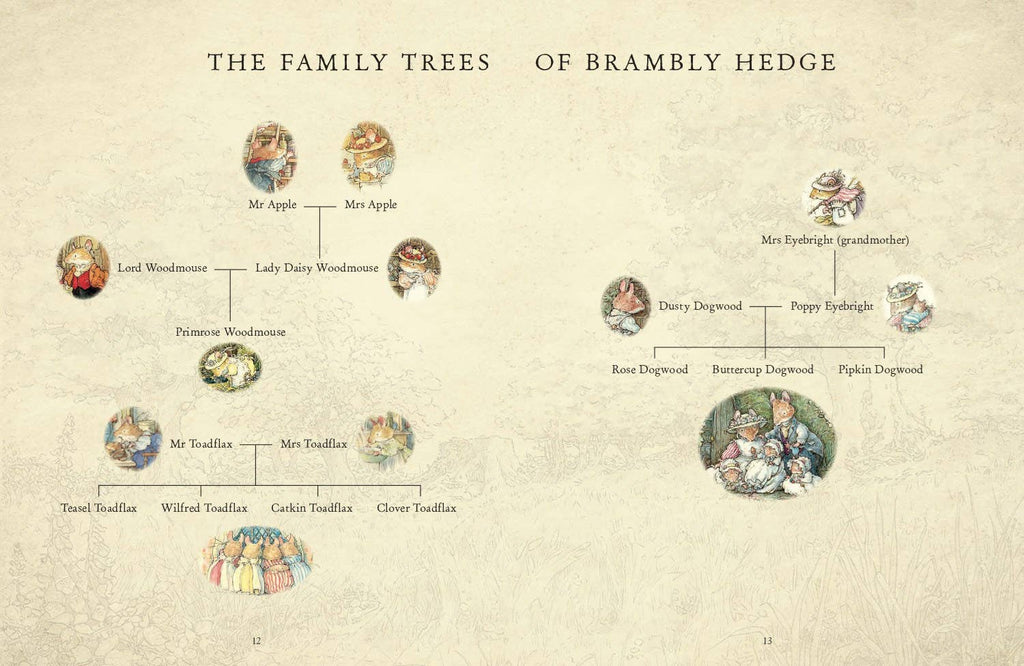Visit to Brambly Hedge, A : Jill Barklem