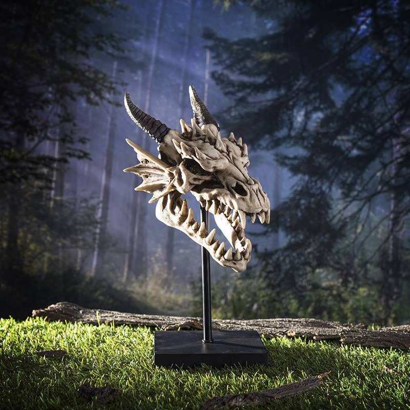 Dragon Skull